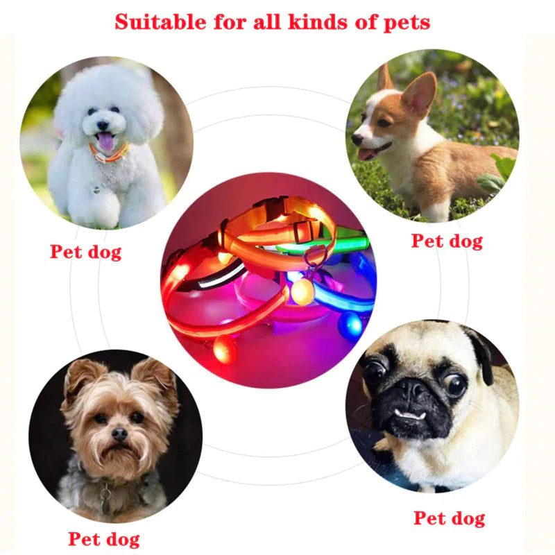 Brighten Up Your Pooch's Style: The LED Adjustable Blinking Dog Collar β Glow In The Dark Fun & Safety for Your Furry Friend!