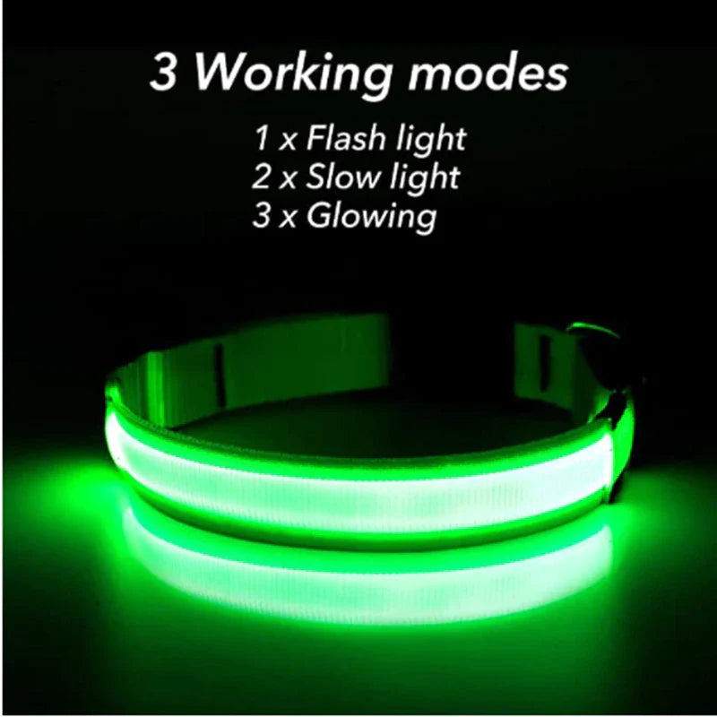 Brighten Up Your Pooch's Style: The LED Adjustable Blinking Dog Collar β Glow In The Dark Fun & Safety for Your Furry Friend!
