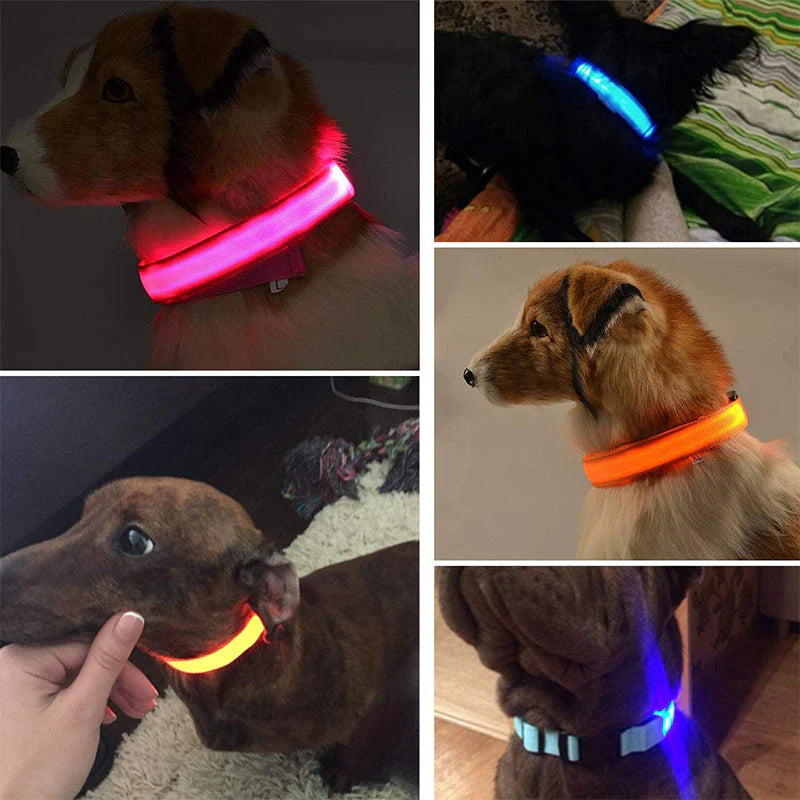 Brighten Up Your Pooch's Style: The LED Adjustable Blinking Dog Collar β Glow In The Dark Fun & Safety for Your Furry Friend!