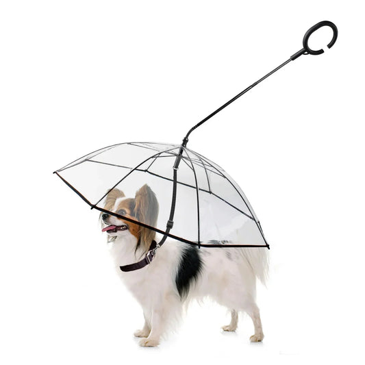Keep Your Pup Posh & Dry With the Hilarious Dog Umbrella for Rainy Adventures!