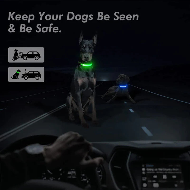 Brighten Up Your Pooch's Style: The LED Adjustable Blinking Dog Collar – Glow In The Dark Fun & Safety for Your Furry Friend!