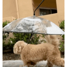 DrizzleGuard™ Dog Umbrella