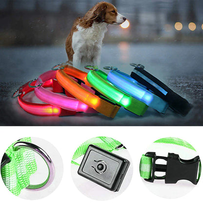 Brighten Up Your Pooch's Style: The LED Adjustable Blinking Dog Collar – Glow In The Dark Fun & Safety for Your Furry Friend!
