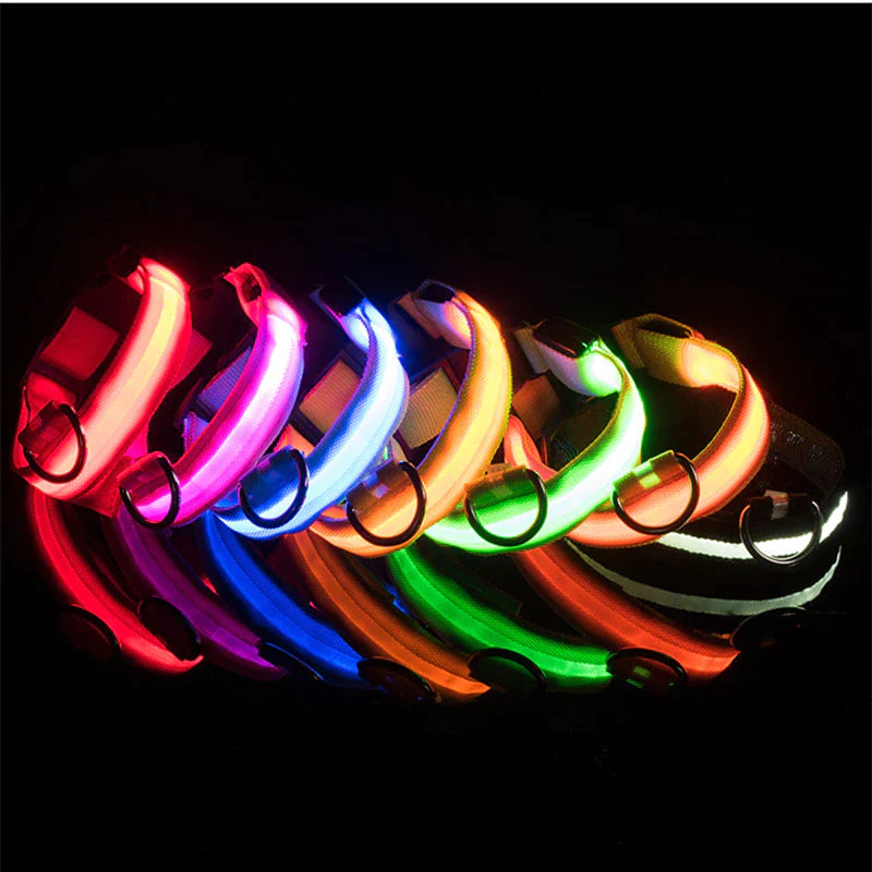 Brighten Up Your Pooch's Style: The LED Adjustable Blinking Dog Collar – Glow In The Dark Fun & Safety for Your Furry Friend!