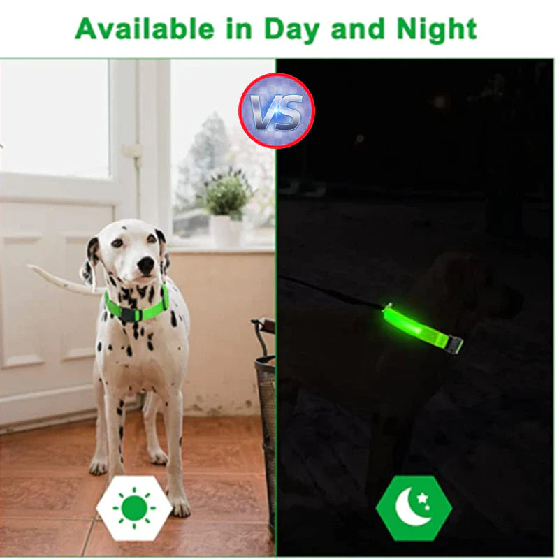 Brighten Up Your Pooch's Style: The LED Adjustable Blinking Dog Collar – Glow In The Dark Fun & Safety for Your Furry Friend!