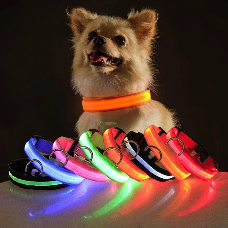 Brighten Up Your Pooch's Style: The LED Adjustable Blinking Dog Collar – Glow In The Dark Fun & Safety for Your Furry Friend!